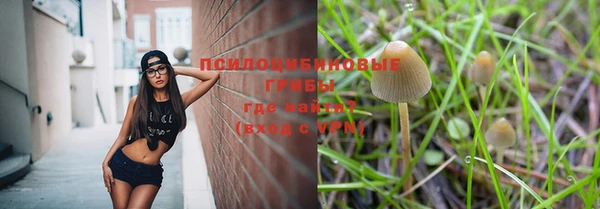 таблы Армянск