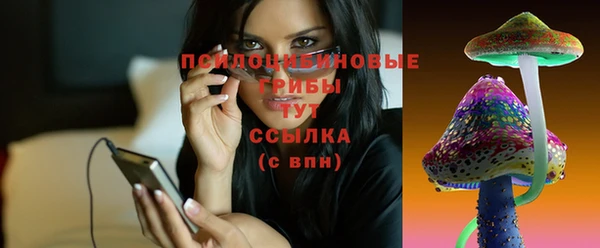прущая мука Арсеньев