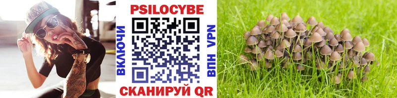 Псилоцибиновые грибы ЛСД  закладка  Ряжск 